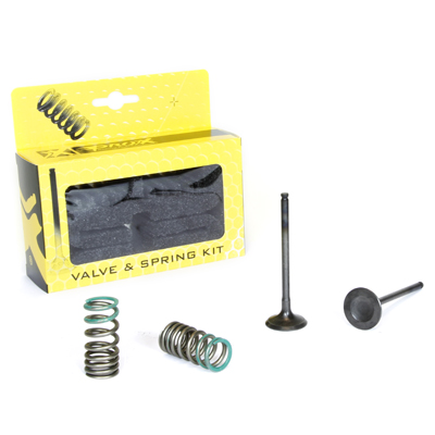 Steel Exhaust Valve/Spring Kit  ad. Yamaha YZ/WR250F '01-13