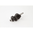 Arbol de levas ad. KTM 520 00-02/525 03-07