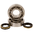 Main Bearings and Oil Seal Crankshaft Set ad. Suzuki RM 250 05-08