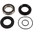 Kit rod.y ret. rueda trasera ad.Honda TRX 420FE 2007-2013