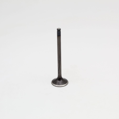 Steel Exhaust Valve ad. Honda XR600R '93-00 + XR650L '93-24