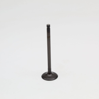 Steel Exhaust Valve ad. Yamaha YFM700R Raptor '06-25 +XT660R/X