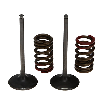 Steel Intake Valve/Spring Kit  ad. Kawasaki KX250F '04-06 RM-Z250 '04