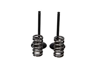 Steel Intake Valve/Spring Kit  ad. Yamaha YZ450F '10-13