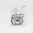 Top End Gasket Set ad. Kawasaki KX 250 F 17-19